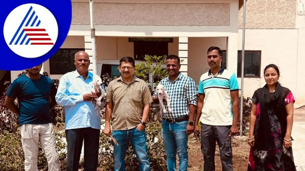 ಮೋದಿ ಮನಸೆಳೆದ ಉತ್ತರ ಕರ್ನಾಟಕದ ಮುಧೋಳ ಶ್ವಾನ, ಪ್ರಧಾನಿಗೆ ಭದ್ರತೆ ನೀಡುವ ಎಸ್ಪಿಜಿ ತಂಡಕ್ಕೆ ಸೇರ್ಪಡೆ ಮೋದಿ ಮನಸೆಳೆದ ಉತ್ತರ ಕರ್ನಾಟಕದ ಮುಧೋಳ ಶ್ವಾನ, ಪ್ರಧಾನಿಗೆ ಭದ್ರತೆ ನೀಡುವ ಎಸ್ಪಿಜಿ ತಂಡಕ್ಕೆ ಸೇರ್ಪಡೆ