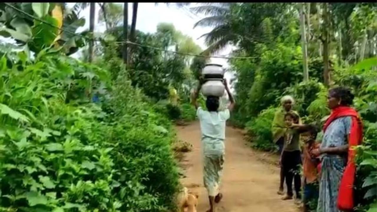 വേനലും മഴയും ഒരുപോലെ, കുടിവെളളത്തിന് നെട്ടോട്ടമോടി പാമ്പള ആദിവാസി കുടുംബങ്ങൾ