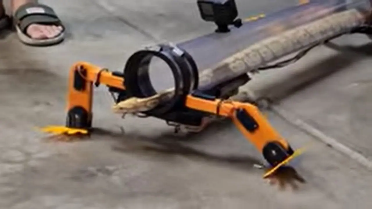 रेंगने वाले सांप को इंजीनियर ने दिया रोबोटिक पैर, छिपकली की तरह चला, वायरल हो गया वीडियो