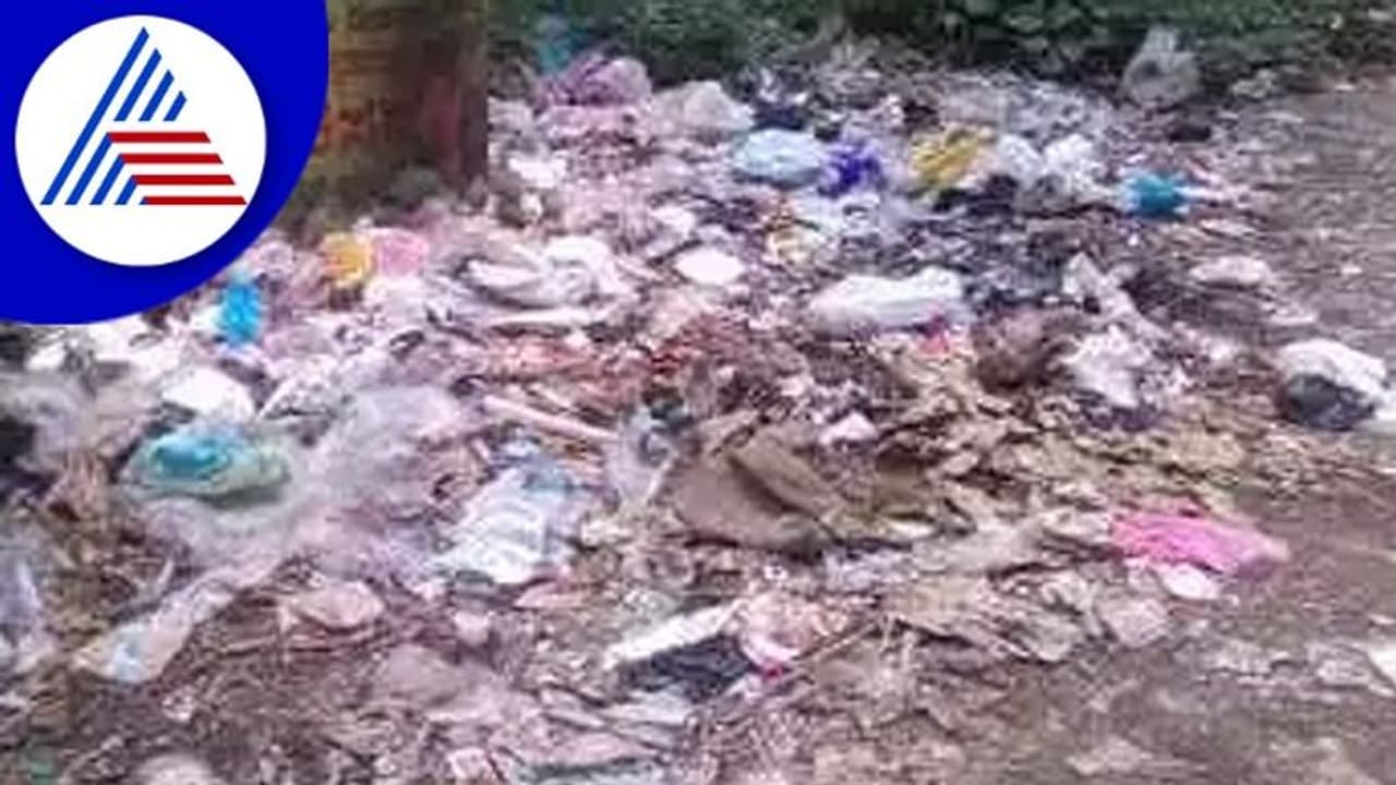 ಜಾಗೃತಿ ಮೂಡಿಸಿದರೂ ನಿಲ್ಲದ ರಸ್ತೆ ಬದಿ ಕಸದ ರಾಶಿ ಜಾಗೃತಿ ಮೂಡಿಸಿದರೂ ನಿಲ್ಲದ ರಸ್ತೆ ಬದಿ ಕಸದ ರಾಶಿ