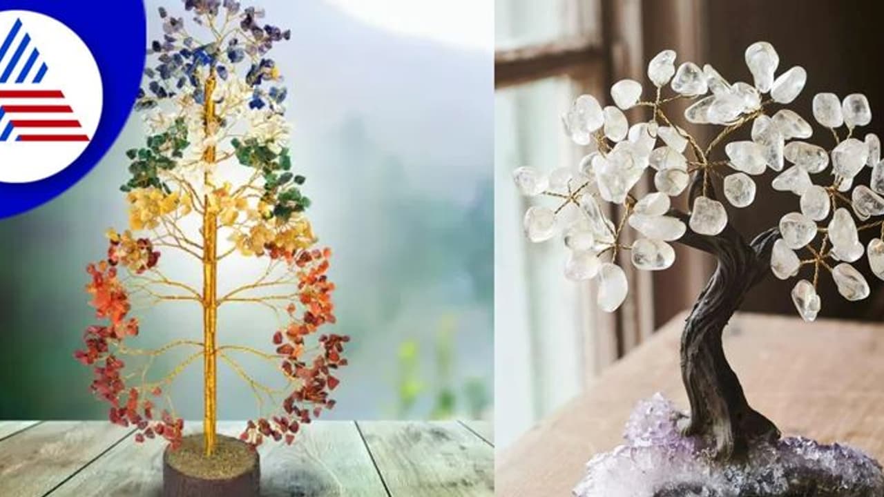 Feng Shui: ಮನೆ ಮತ್ತು ಕಚೇರಿಯಲ್ಲಿ ಇಂಥ ಹರಳಿನ ಮರವಿಟ್ರೆ ಹಣದ ಹರಿವು ಹೆಚ್ಚುತ್ತೆ..