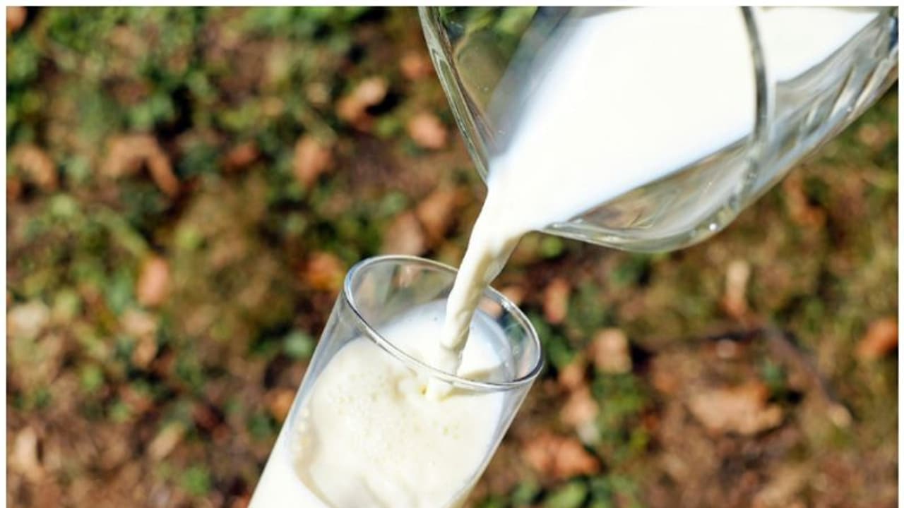 പാലിൽ യൂറിയ; കേരള തമിഴ്നാട് അതിർത്തിയിൽ പിടികൂടിയത് 12750 ലിറ്റർ മായം കലര്‍ന്ന പാല്‍