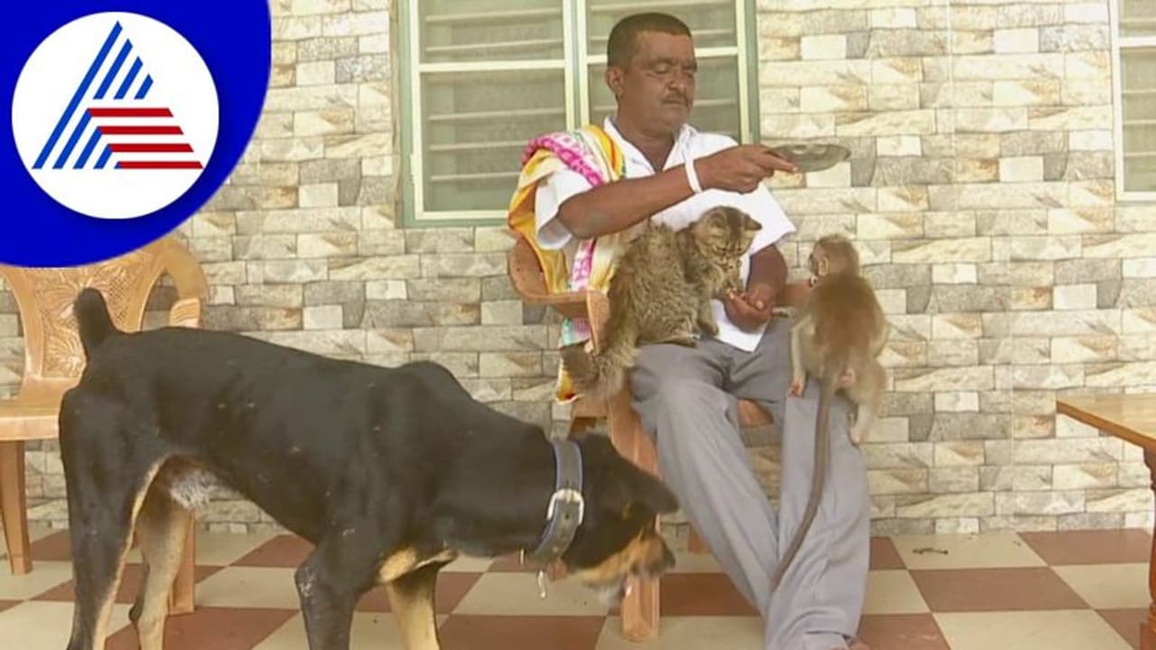 Kolar: ಕುಚಿಕು ಫ್ರೆಂಡ್ಸ್‌ಗಳಾದ ಕೋತಿ, ನಾಯಿ ಹಾಗೂ ಬೆಕ್ಕು!