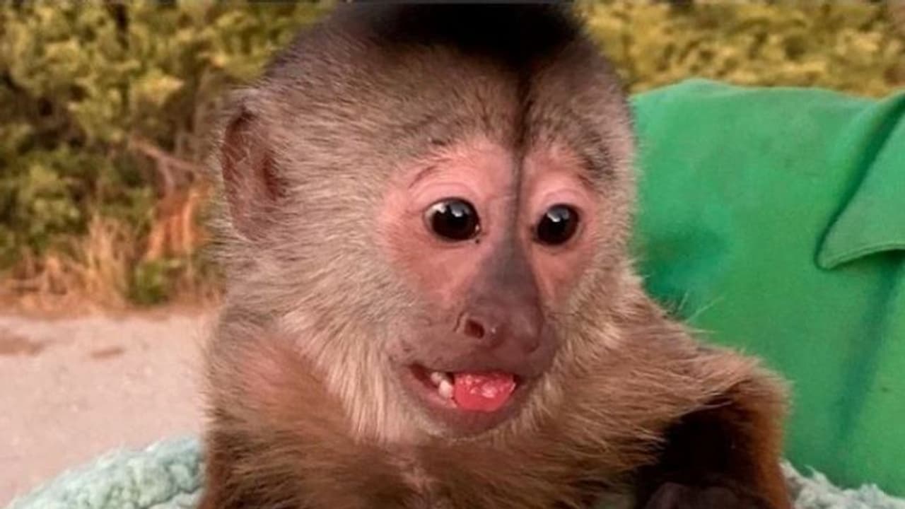 चिड़ियाघर से पुलिस के पास आई इमरजेंसी कॉल, पहुंचने पर जो सामने आया वह चौंकाने वाला था 