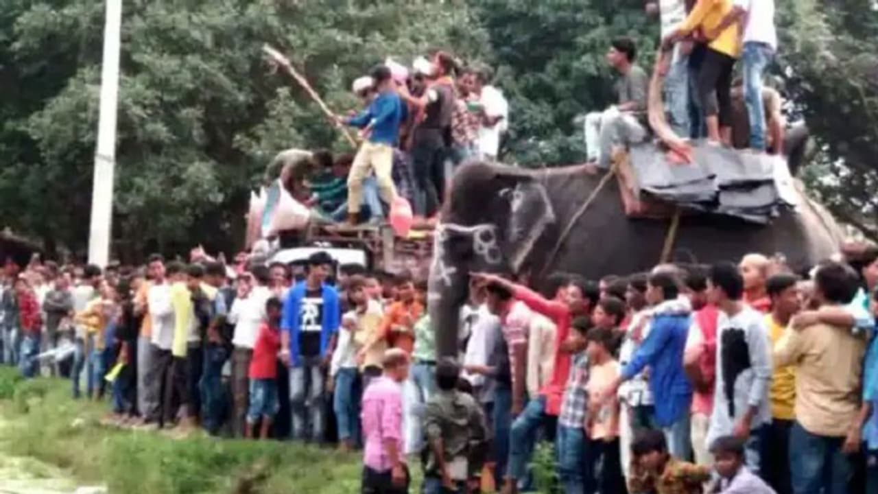 140 साल बाद भी बिना दुल्हन के ही वापस लौटी बारात, जानिए क्या है जौनपुर का कजरी मेला 140 साल बाद भी बिना दुल्हन के ही वापस लौटी बारात, जानिए क्या है जौनपुर का कजरी मेला