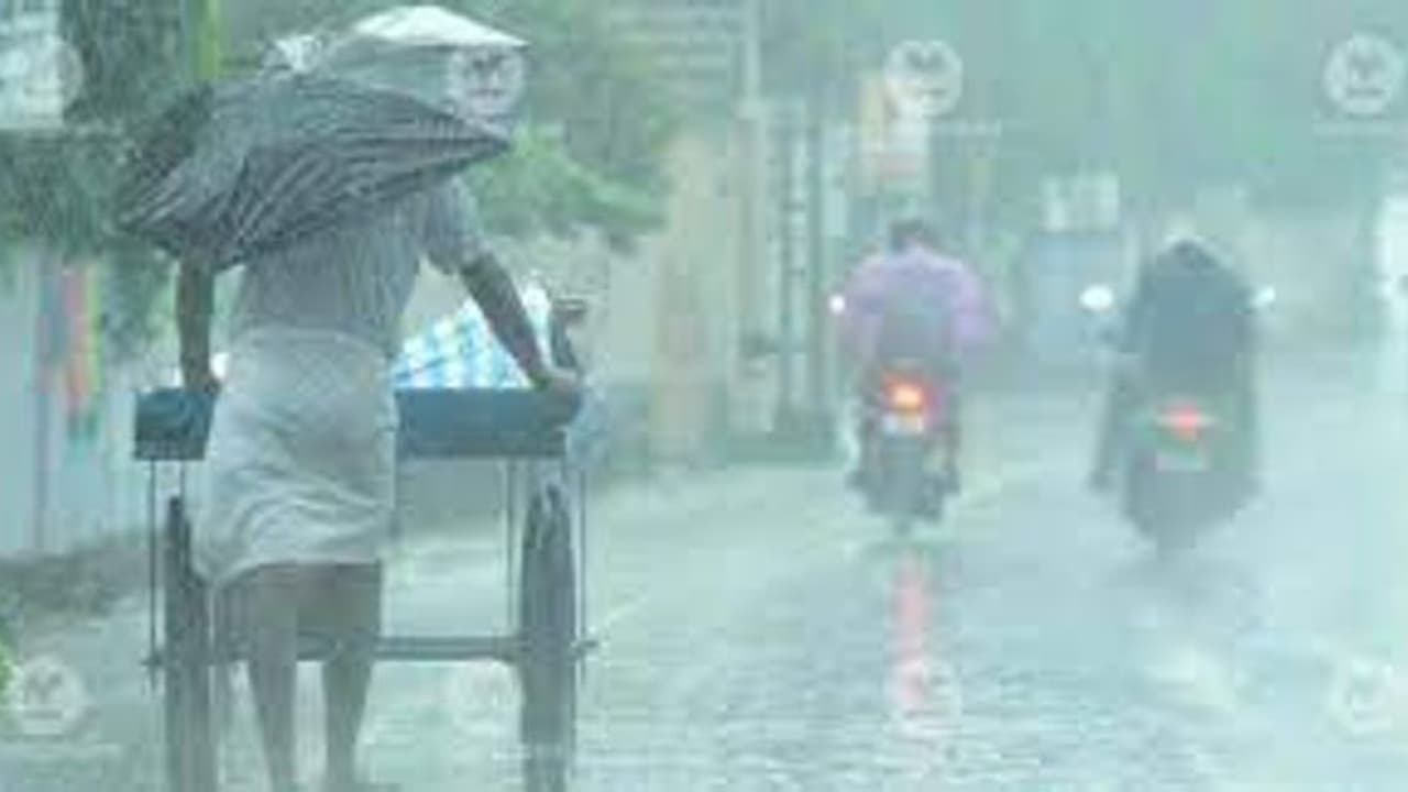 അഞ്ച് ജില്ലകളില് തീവ്രമഴക്ക് സാധ്യത, ചിലയിടത്ത് അതിതീവ്ര മഴയും പെയ്തേക്കും അഞ്ച് ജില്ലകളില് തീവ്രമഴക്ക് സാധ്യത, ചിലയിടത്ത് അതിതീവ്ര മഴയും പെയ്തേക്കും