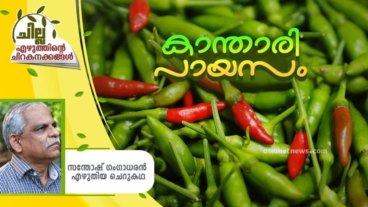 Malayalam Short Story : കാന്താരിപായസം, സന്തോഷ് ഗംഗാധരന് എഴുതിയ ചെറുകഥ Malayalam Short Story : കാന്താരിപായസം, സന്തോഷ് ഗംഗാധരന് എഴുതിയ ചെറുകഥ