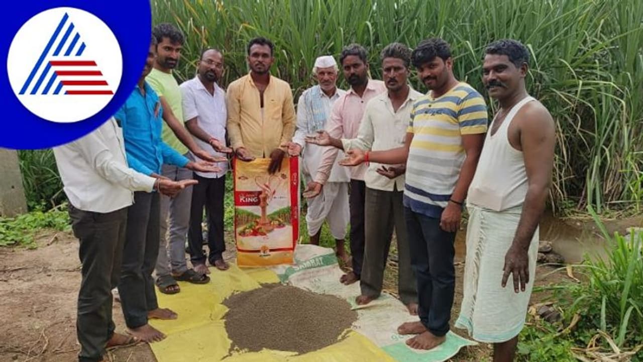 ರೈತರೇ ರಸಗೊಬ್ಬರ ಖರೀದಿಸುವ ಮುನ್ನ ಎಚ್ಚರ, ಬೆಳಗಾವಿಯಲ್ಲಿ ಸಿಕ್ತು ಮಣ್ಣು! 