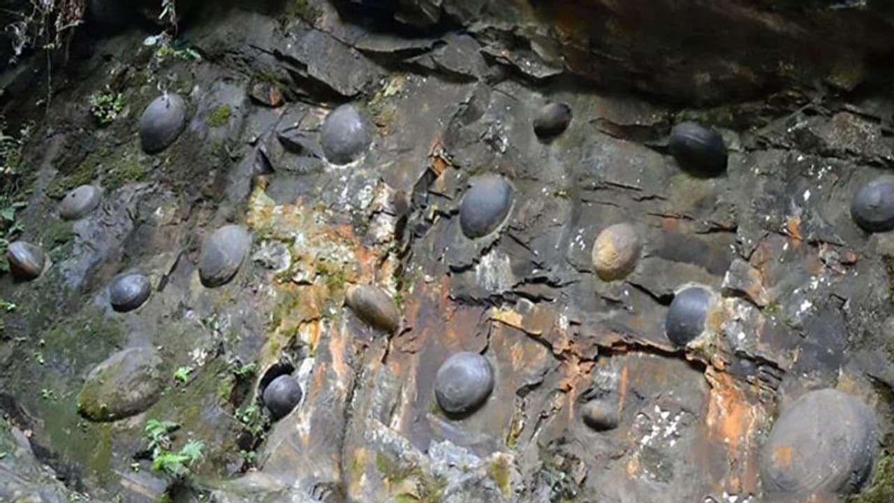 यह है अंडे देने वाला पत्थर, देखकर लोग हुए हैरान, इसे चुराने वाले के साथ होता है ऐसा यह है अंडे देने वाला पत्थर, देखकर लोग हुए हैरान, इसे चुराने वाले के साथ होता है ऐसा