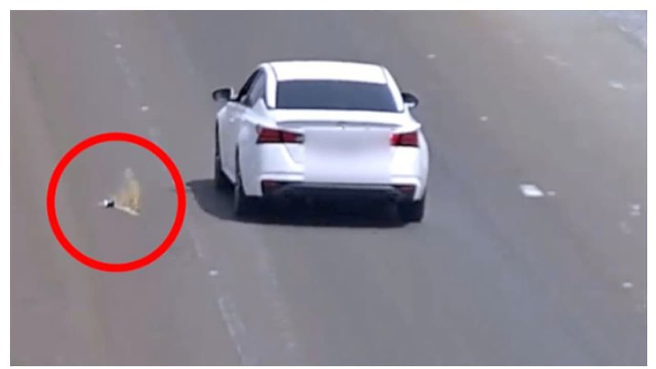 റോഡിലേക്ക് മാലിന്യങ്ങള്‍ വലിച്ചെറിഞ്ഞ 162 പേര്‍ പിടിയില്‍; ഇരുപതിനായിരം രൂപ പിഴ!