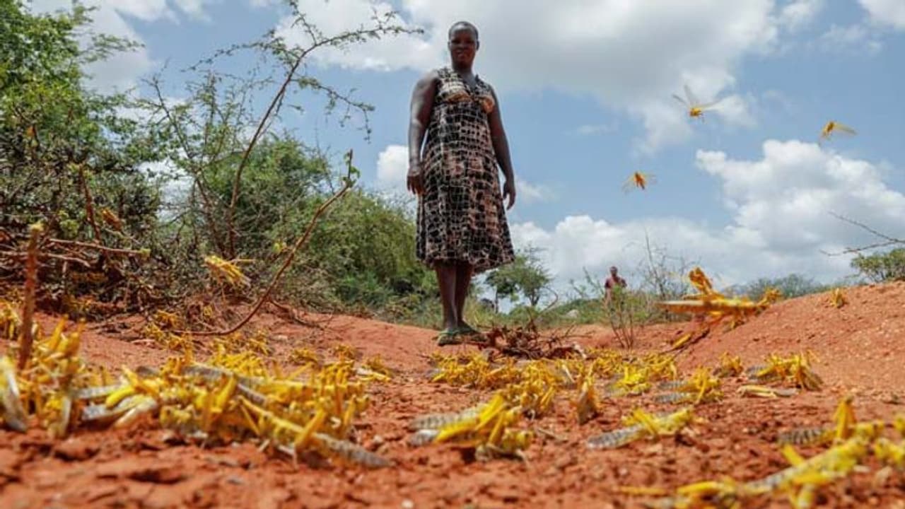 क्या बाबा वेंगा की भविष्यवाणी सच होने जा रही है,पूर्वी अफ्रीका में 70 साल के इतिहास में जीवन पर सबसे बड़ा खतरा क्या बाबा वेंगा की भविष्यवाणी सच होने जा रही है,पूर्वी अफ्रीका में 70 साल के इतिहास में जीवन पर सबसे बड़ा खतरा