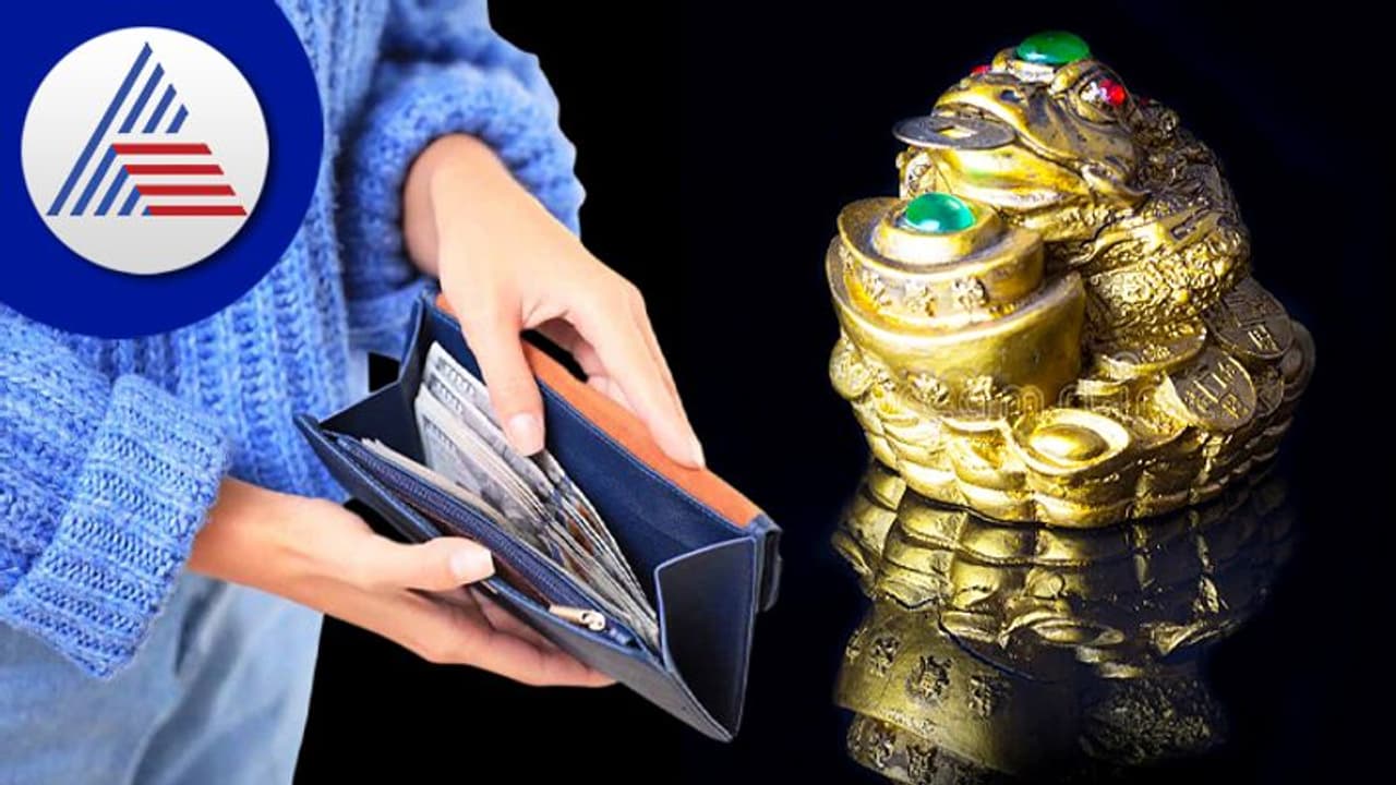 ಕಾಸು ಕೈಯಲ್ಲಿ ನಿಲ್ಲುತ್ತಿಲ್ಲವೇ? ಮನೆಯಲ್ಲಿ ಚೈನೀಸ್ ಕಪ್ಪೆ ತಂದಿಟ್ಟುಕೊಳ್ಳಿ! ಕಾಸು ಕೈಯಲ್ಲಿ ನಿಲ್ಲುತ್ತಿಲ್ಲವೇ? ಮನೆಯಲ್ಲಿ ಚೈನೀಸ್ ಕಪ್ಪೆ ತಂದಿಟ್ಟುಕೊಳ್ಳಿ!