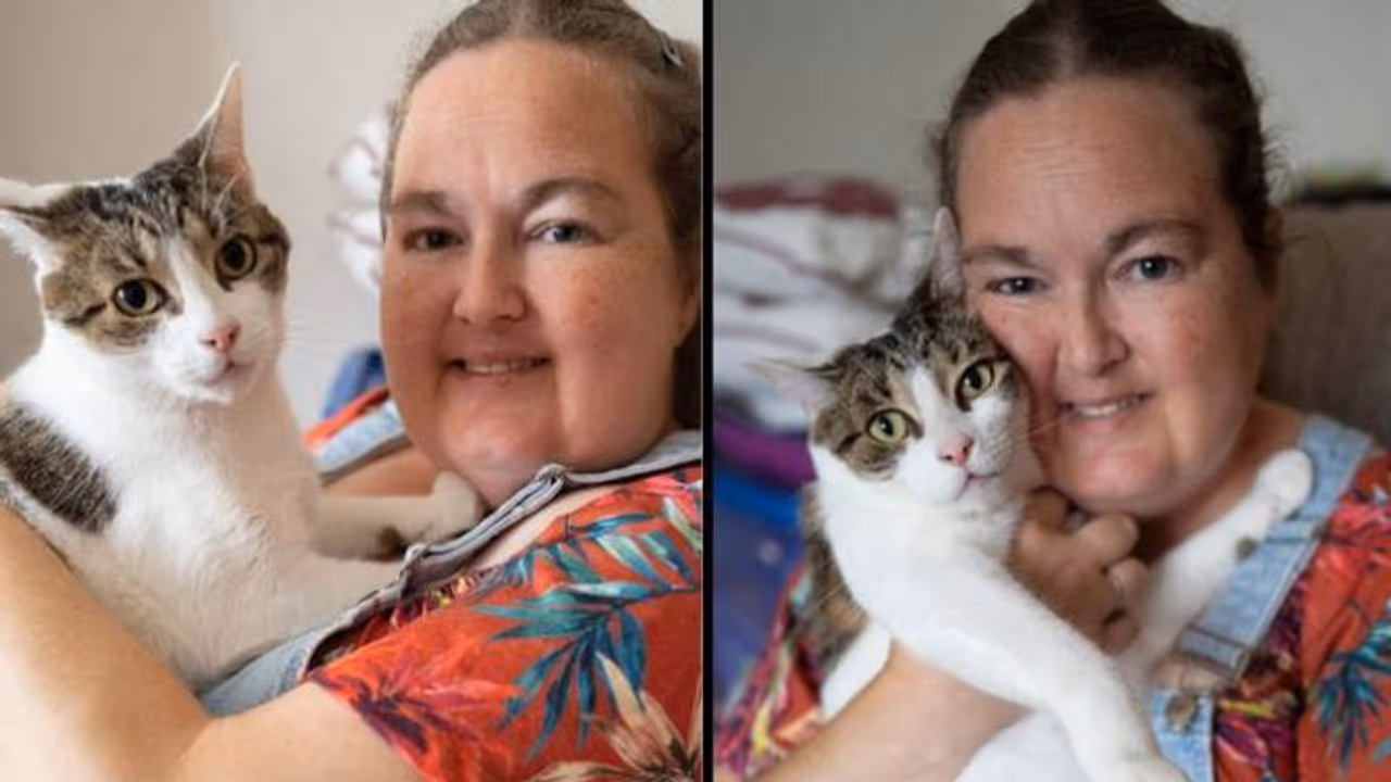 ഉറക്കത്തിൽ ഉടമയ്ക്ക് ഹൃദയാഘാതം; രക്ഷിച്ചത് വളർത്തുപൂച്ച! 