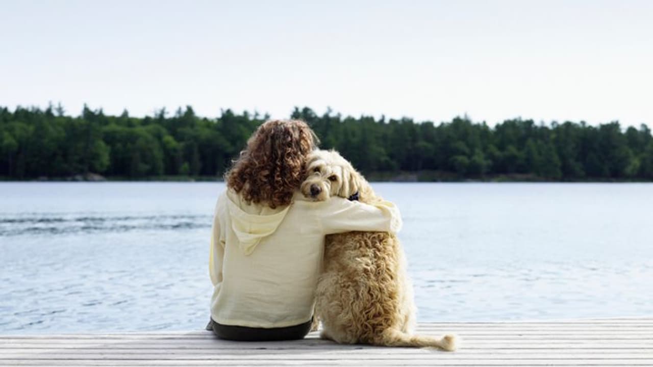 അയല്ക്കാരിയെ സ്നേഹിക്കുന്ന നായ, വൈറലായി ഒരു വീഡിയോ! അയല്ക്കാരിയെ സ്നേഹിക്കുന്ന നായ, വൈറലായി ഒരു വീഡിയോ!