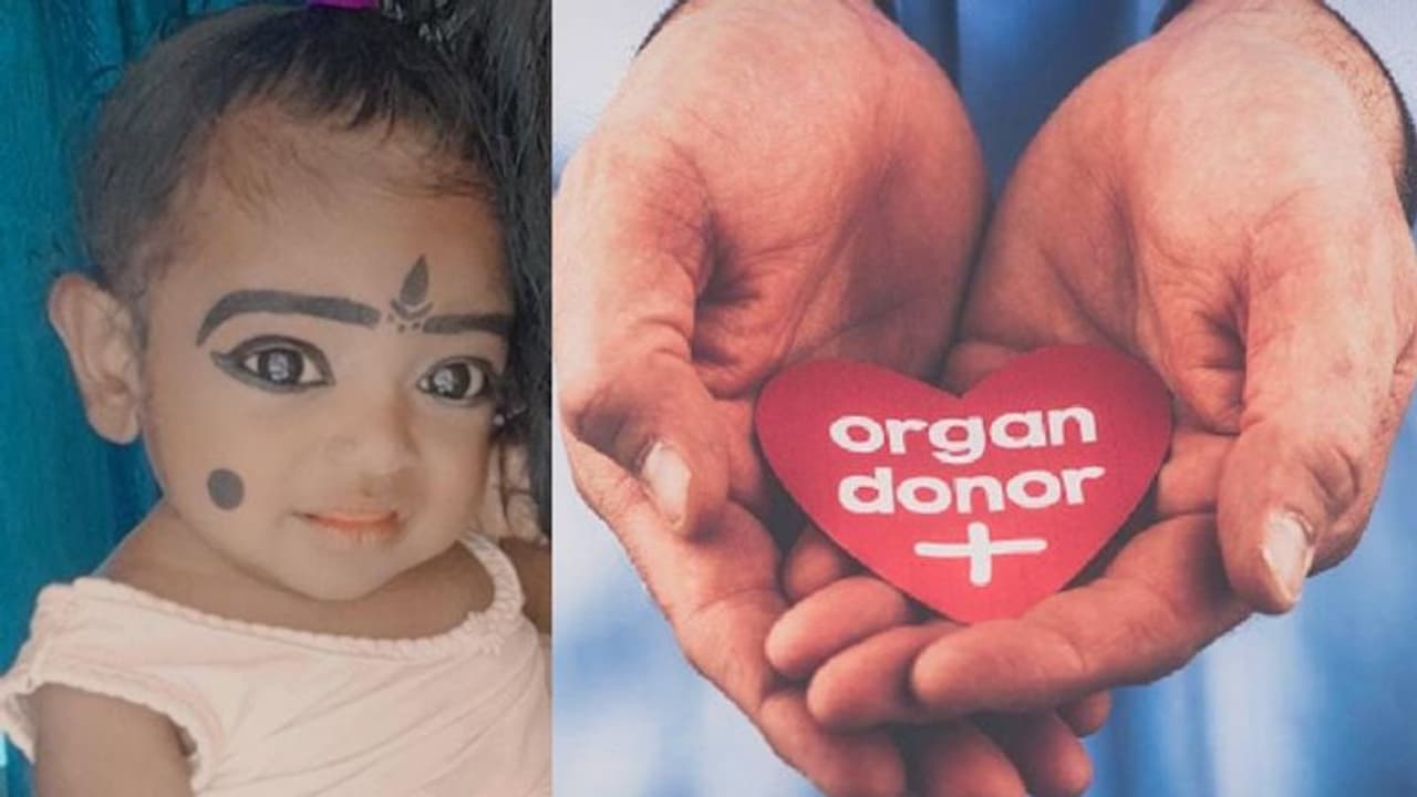 ഹൃതിക മോള്ക്ക് മുത്തശ്ശി കരൾ പകുത്തു നൽകും; സുമനസ്സുകളുടെ സഹായം തേടി കുടുംബം ഹൃതിക മോള്ക്ക് മുത്തശ്ശി കരൾ പകുത്തു നൽകും; സുമനസ്സുകളുടെ സഹായം തേടി കുടുംബം