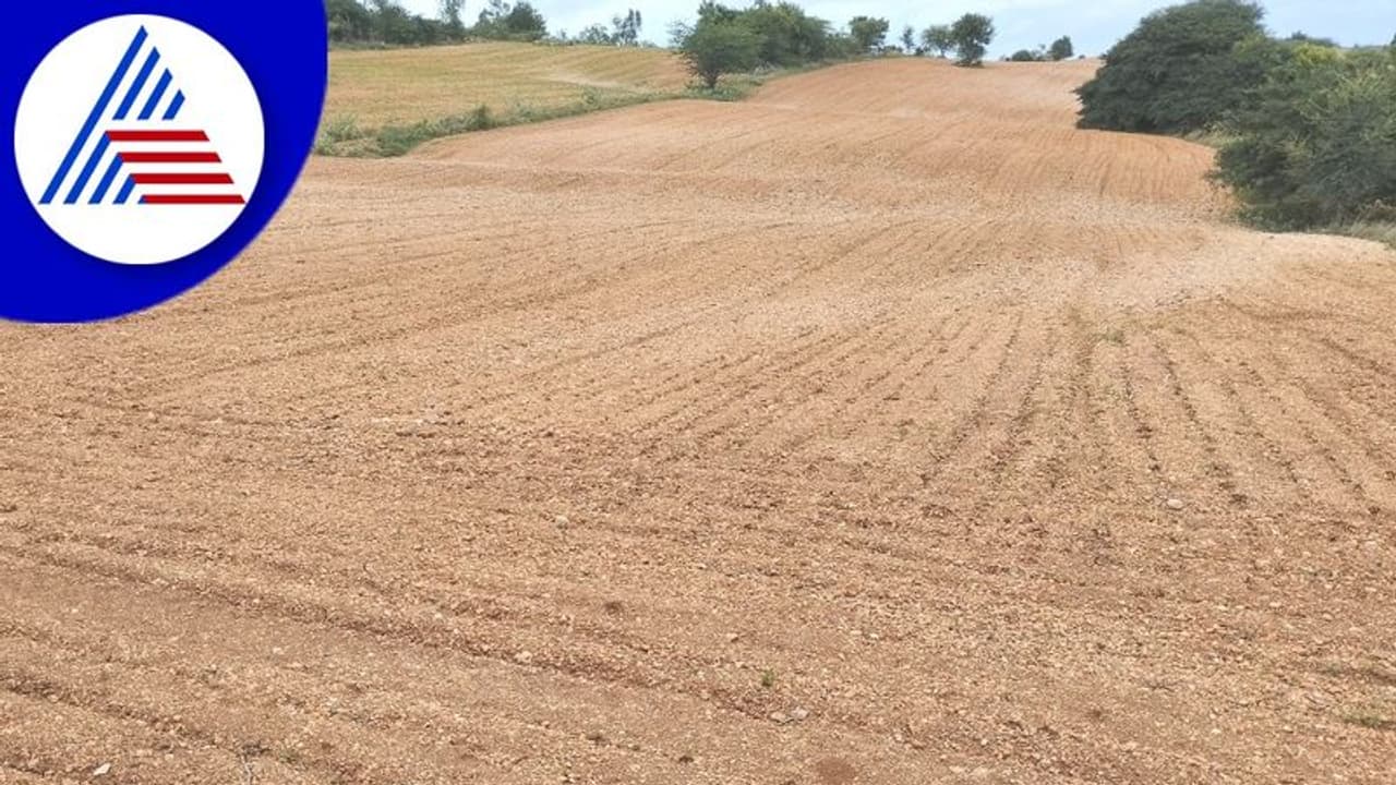 Chitradurga: ಅಧಿಕ ಮಳೆ ಬಿದ್ದರೂ ನಾಯಕನಹಟ್ಟಿಯಲ್ಲಿ ಕುಸಿದ ಶೇಂಗಾ ಬಿತ್ತನೆ! Chitradurga: ಅಧಿಕ ಮಳೆ ಬಿದ್ದರೂ ನಾಯಕನಹಟ್ಟಿಯಲ್ಲಿ ಕುಸಿದ ಶೇಂಗಾ ಬಿತ್ತನೆ!