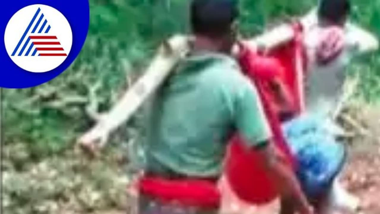 ರಸ್ತೆ ಅವ್ಯವಸ್ಥೆ: ಅಸ್ವಸ್ಥ ವೃದ್ಧೆಯನ್ನು ಹೊತ್ತು ಆಸ್ಪತ್ರೆಗೆ ಸಾಗಿಸಿದ ಸಂಬಂಧಿಕರು!