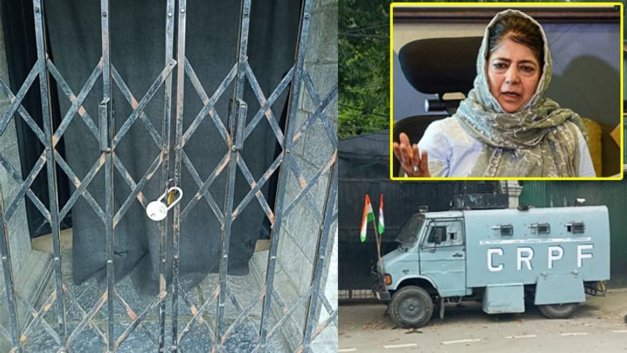 कौन हैं महबूबा मुफ्ती, जिन्हें 3 महीने में दूसरी बार किया गया नजरबंद, आखिर क्या है वजह? कौन हैं महबूबा मुफ्ती, जिन्हें 3 महीने में दूसरी बार किया गया नजरबंद, आखिर क्या है वजह?