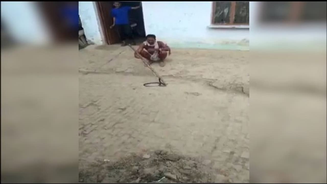 शाहजहांपुर में सांप का खेल बना मौत का कारण, पूर्व प्रधान की पकड़ ढीली होते ही हो गया हादसा शाहजहांपुर में सांप का खेल बना मौत का कारण, पूर्व प्रधान की पकड़ ढीली होते ही हो गया हादसा