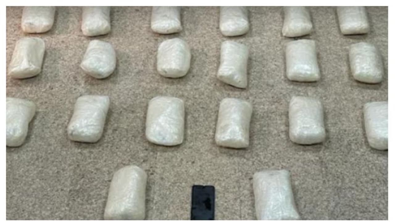 ഇരുപത് കിലോ ലഹരിമരുന്നുമായി പ്രവാസി പിടിയില്‍