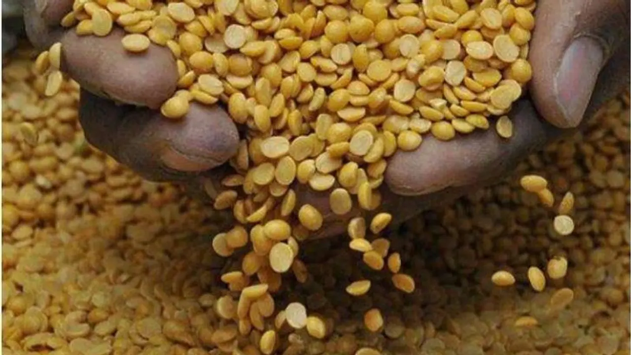 ಕಲಬುರಗಿ: ಒಣಗಿದ ತೊಗರಿ ಬೆಳೆ; ಅನ್ನದಾತರು ಕಂಗಾಲು ಕಲಬುರಗಿ: ಒಣಗಿದ ತೊಗರಿ ಬೆಳೆ; ಅನ್ನದಾತರು ಕಂಗಾಲು