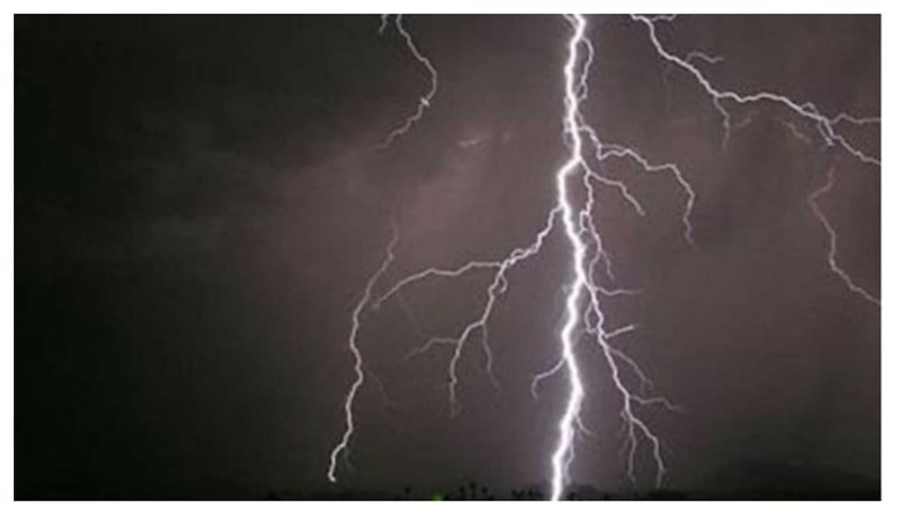 കനത്ത മഴ; മിന്നലേറ്റ് ഒരു കുട്ടി ഉള്പ്പെടെ രണ്ടുപേര് മരിച്ചു, ഒരാളുടെ മരണം വീട്ടുകാര് നോക്കിനില്ക്കെ കനത്ത മഴ; മിന്നലേറ്റ് ഒരു കുട്ടി ഉള്പ്പെടെ രണ്ടുപേര് മരിച്ചു, ഒരാളുടെ മരണം വീട്ടുകാര് നോക്കിനില്ക്കെ