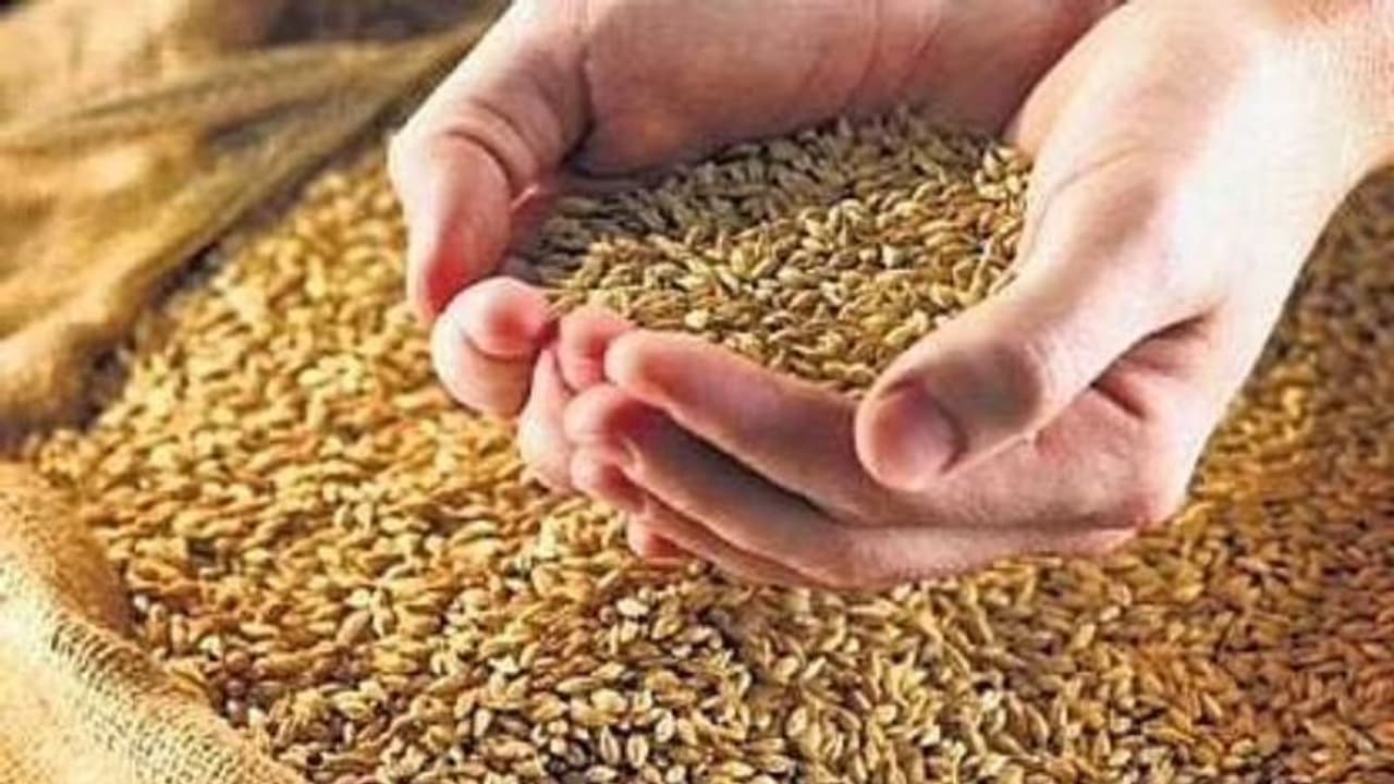 വില പിടിച്ചുനിർത്താൻ എഫ്‌സിഐയിൽ നിന്ന് 2 മില്യൺ ടൺ ഗോതമ്പ് 