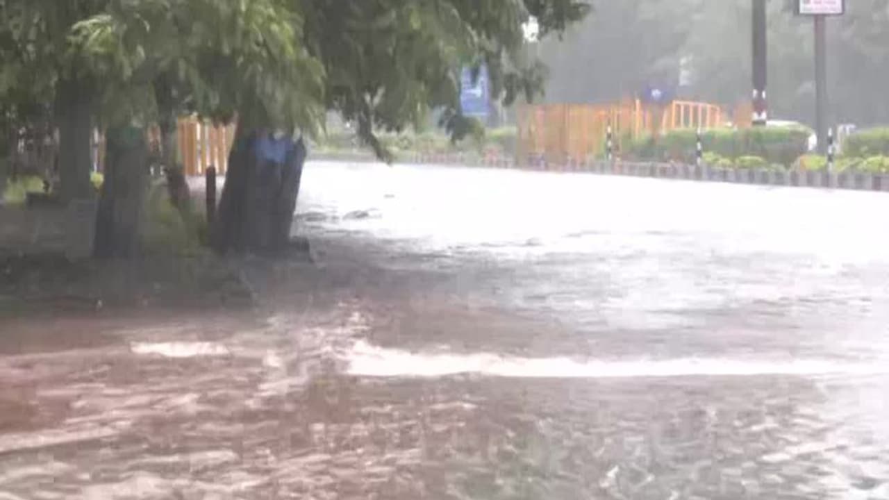 ಬಳ್ಳಾರಿ: ಆಂಧ್ರ ಗಡಿಭಾಗದಲ್ಲಿ ಭಾರೀ ಮಳೆ, ನದಿಯಲ್ಲಿ ಕೊಚ್ಚಿಹೋದ ಎತ್ತು ಬಳ್ಳಾರಿ: ಆಂಧ್ರ ಗಡಿಭಾಗದಲ್ಲಿ ಭಾರೀ ಮಳೆ, ನದಿಯಲ್ಲಿ ಕೊಚ್ಚಿಹೋದ ಎತ್ತು