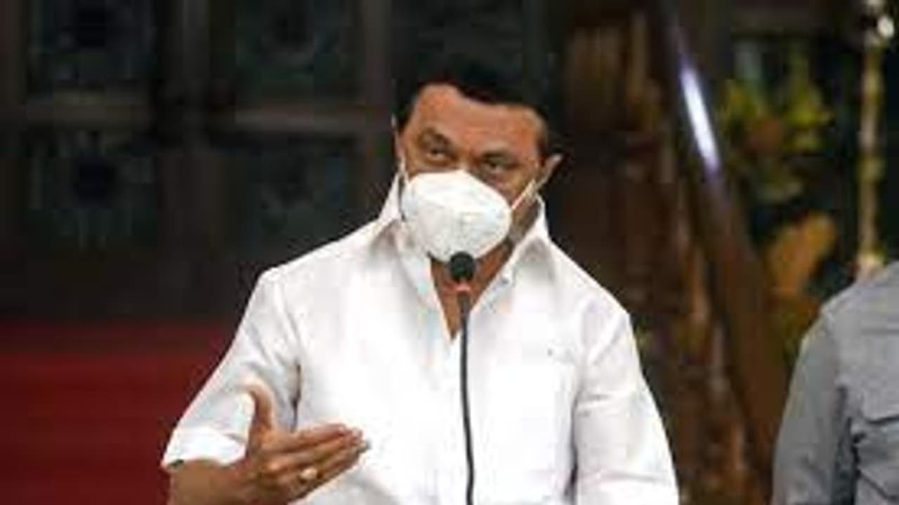 பிரதமரை சந்தித்த போது இதை தான் அன்பளிப்பாக கொடுத்தேன்.. முதலமைச்சர் பகிர்ந்த சுவாரஸ்ய தகவல் பிரதமரை சந்தித்த போது இதை தான் அன்பளிப்பாக கொடுத்தேன்.. முதலமைச்சர் பகிர்ந்த சுவாரஸ்ய தகவல்