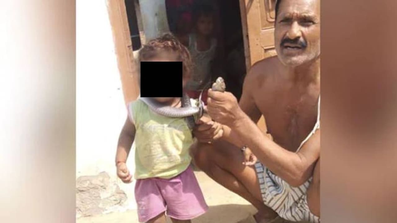 വിഷപ്പാമ്പിനെ പിടികൂടി കഴുത്തിലിട്ട് ഗ്രാമം ചുറ്റി പ്രദർശനം, ഒടുവിൽ പാമ്പ് കടിയേറ്റ് ദാരുണാന്ത്യം വിഷപ്പാമ്പിനെ പിടികൂടി കഴുത്തിലിട്ട് ഗ്രാമം ചുറ്റി പ്രദർശനം, ഒടുവിൽ പാമ്പ് കടിയേറ്റ് ദാരുണാന്ത്യം