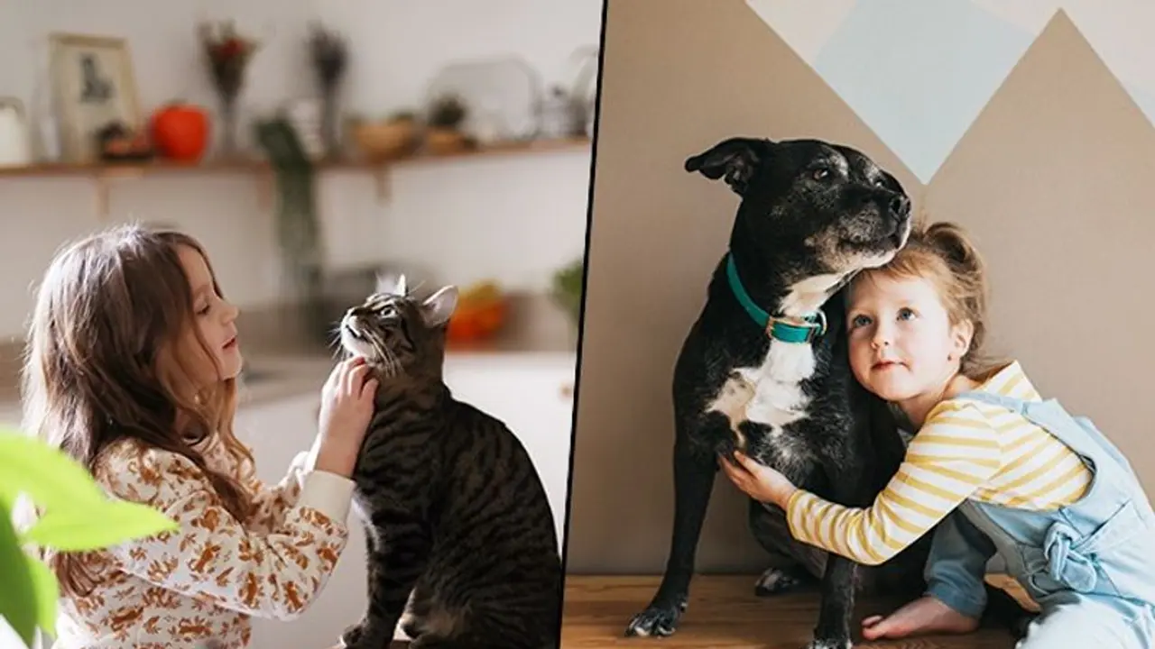 How can pets have a positive impact on your kid’s upbringing? Know how to build a bond between them How can pets have a positive impact on your kid’s upbringing? Know how to build a bond between them