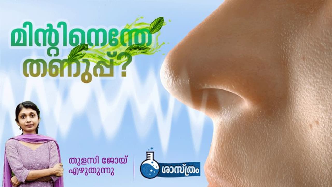 Science : മിന്റ് മിഠായിയുടെ തണുപ്പിന് കാരണമെന്താണ്?