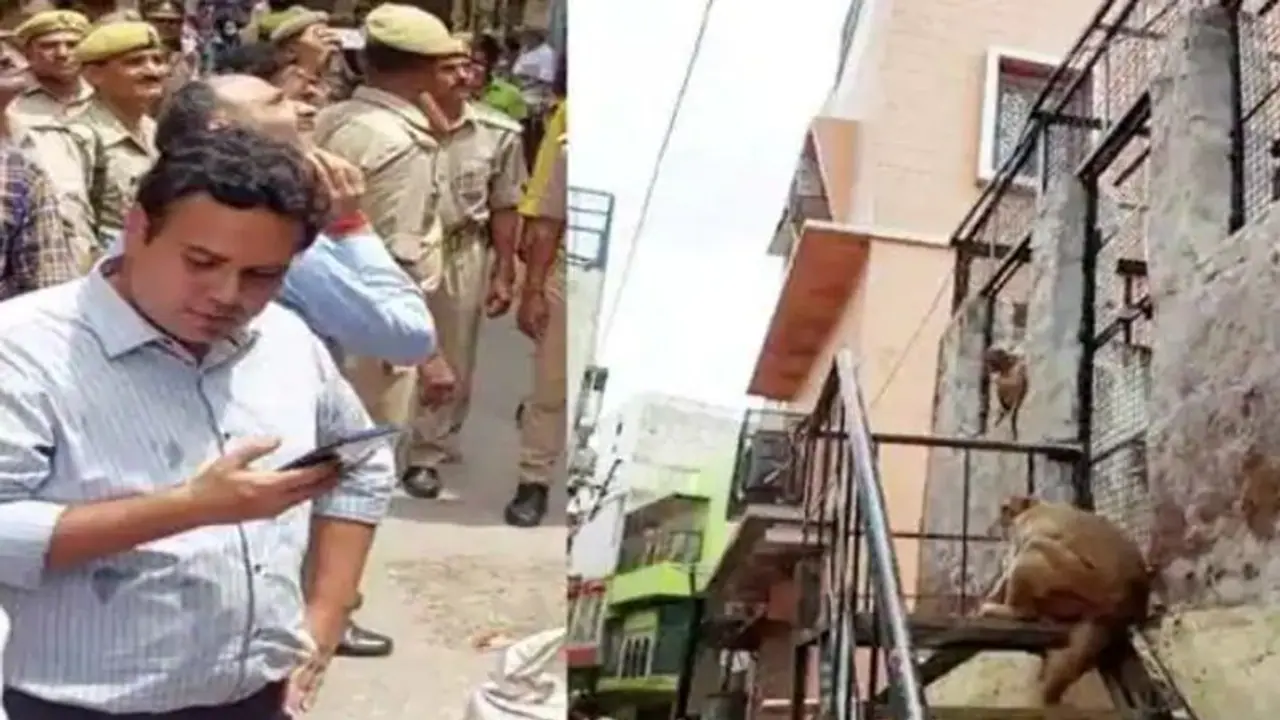 ಪೊಲೀಸರೆದುರೆ ನ್ಯಾಯಾಧೀಶರ ಸನ್‌ಗ್ಲಾಸ್ ಎತ್ಕೊಂಡ್ ಹೋದ ಕೋತಿ: ವೈರಲ್‌ ವಿಡಿಯೋ