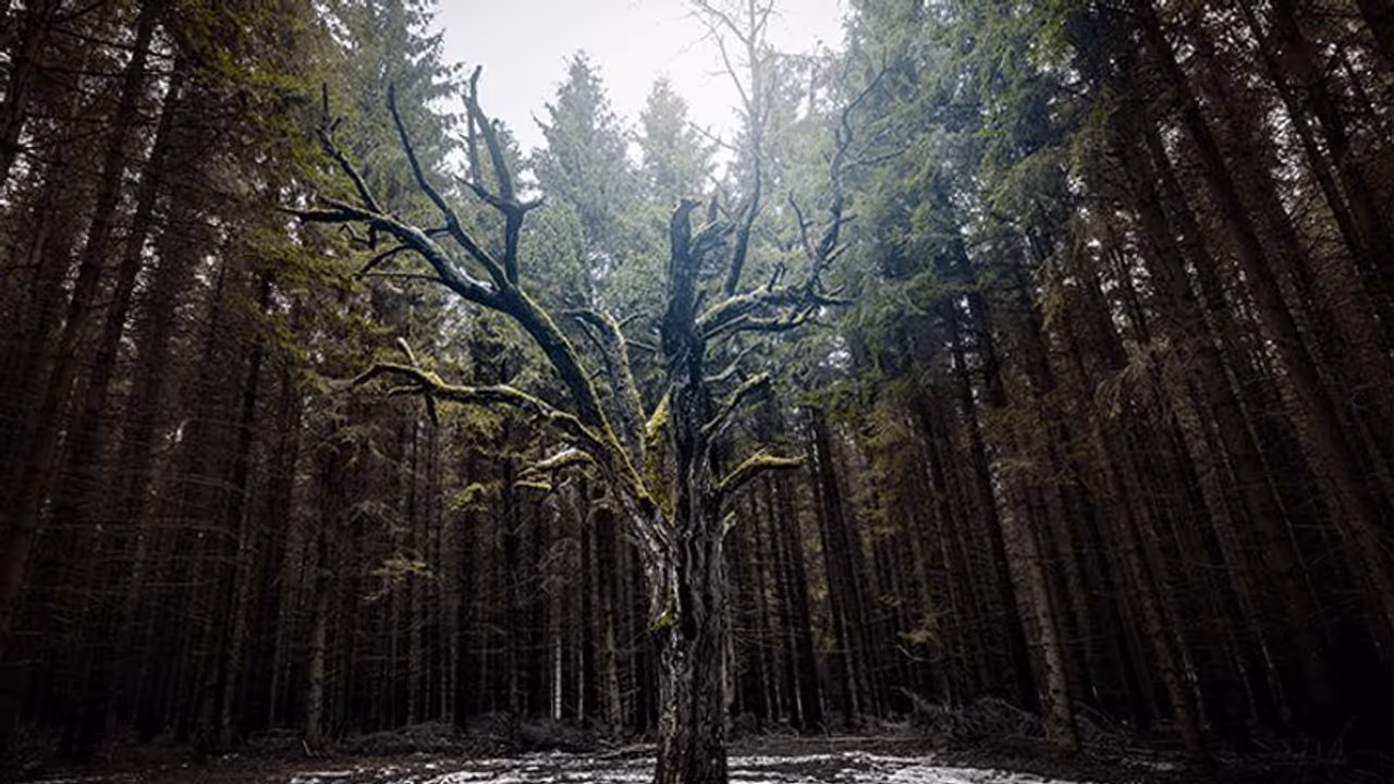 Vastu Tips: दुर्भाग्य बढ़ाती हैं ऐसी लकड़ी से बनी देव प्रतिमाएं, भूलकर भी घर में न रखें