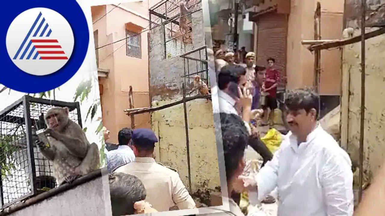 ಜಿಲ್ಲಾಧಿಕಾರಿಯ ಕನ್ನಡಕ ಕಸಿದ ಕೋತಿ: ಫ್ರೂಟಿ ಕೊಟ್ಟು ಸ್ಪೆಕ್ಟ್ಸ್‌ ಪಡೆದ ಪೊಲೀಸರು..!