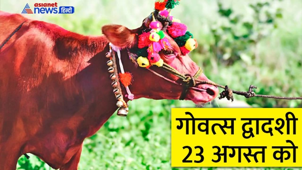 Govatsa Dwadashi 2022: 23 अगस्त को करें इन 4 में से कोई 1 उपाय, बिगड़ी किस्मत भी चमक उठेगी Govatsa Dwadashi 2022: 23 अगस्त को करें इन 4 में से कोई 1 उपाय, बिगड़ी किस्मत भी चमक उठेगी