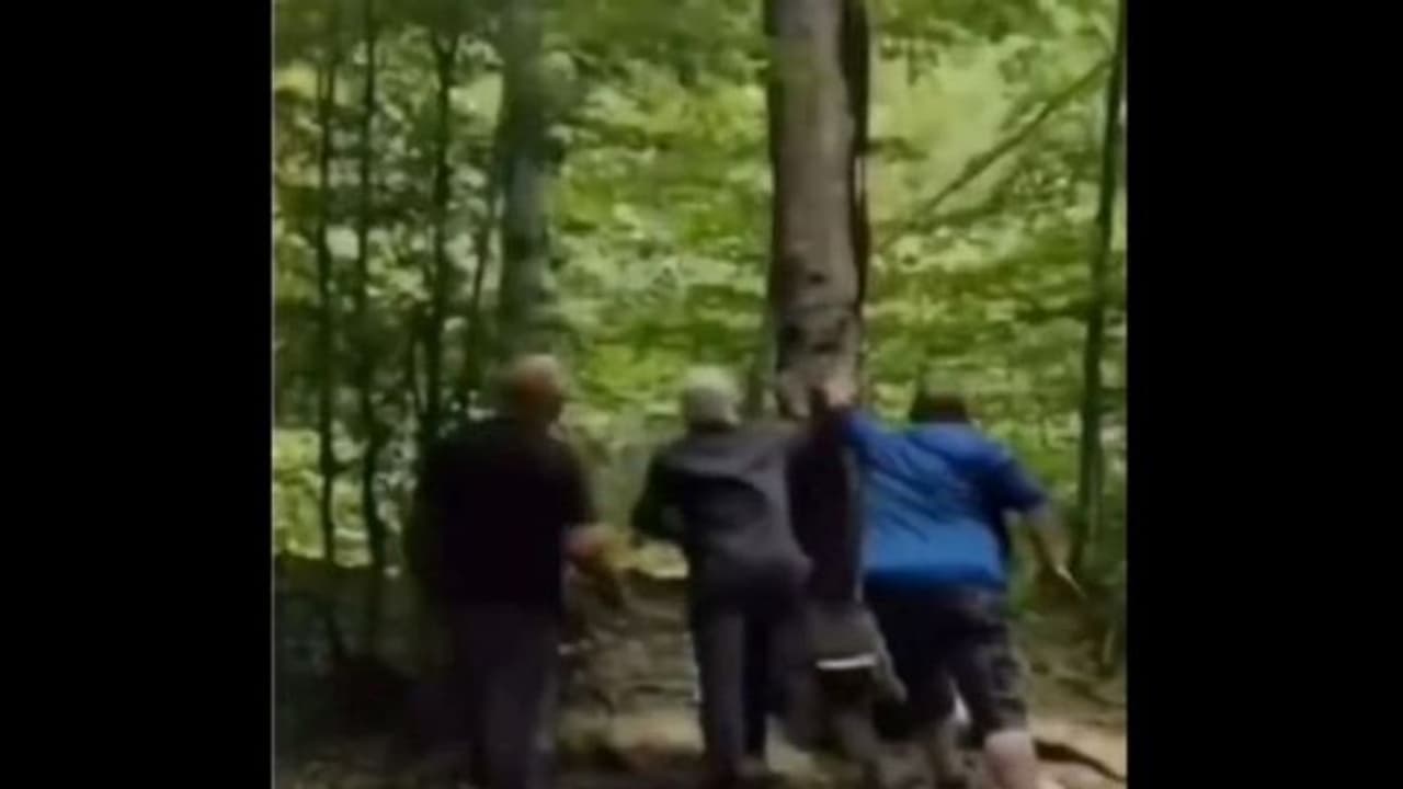 3 इंसानों ने पेड़ काटा, मगर जमीन पर गिरने से पहले इसी पेड़ ने अनोखे अंदाज में उन्हें सिखाया सबक, देखिए वीडियो 3 इंसानों ने पेड़ काटा, मगर जमीन पर गिरने से पहले इसी पेड़ ने अनोखे अंदाज में उन्हें सिखाया सबक, देखिए वीडियो