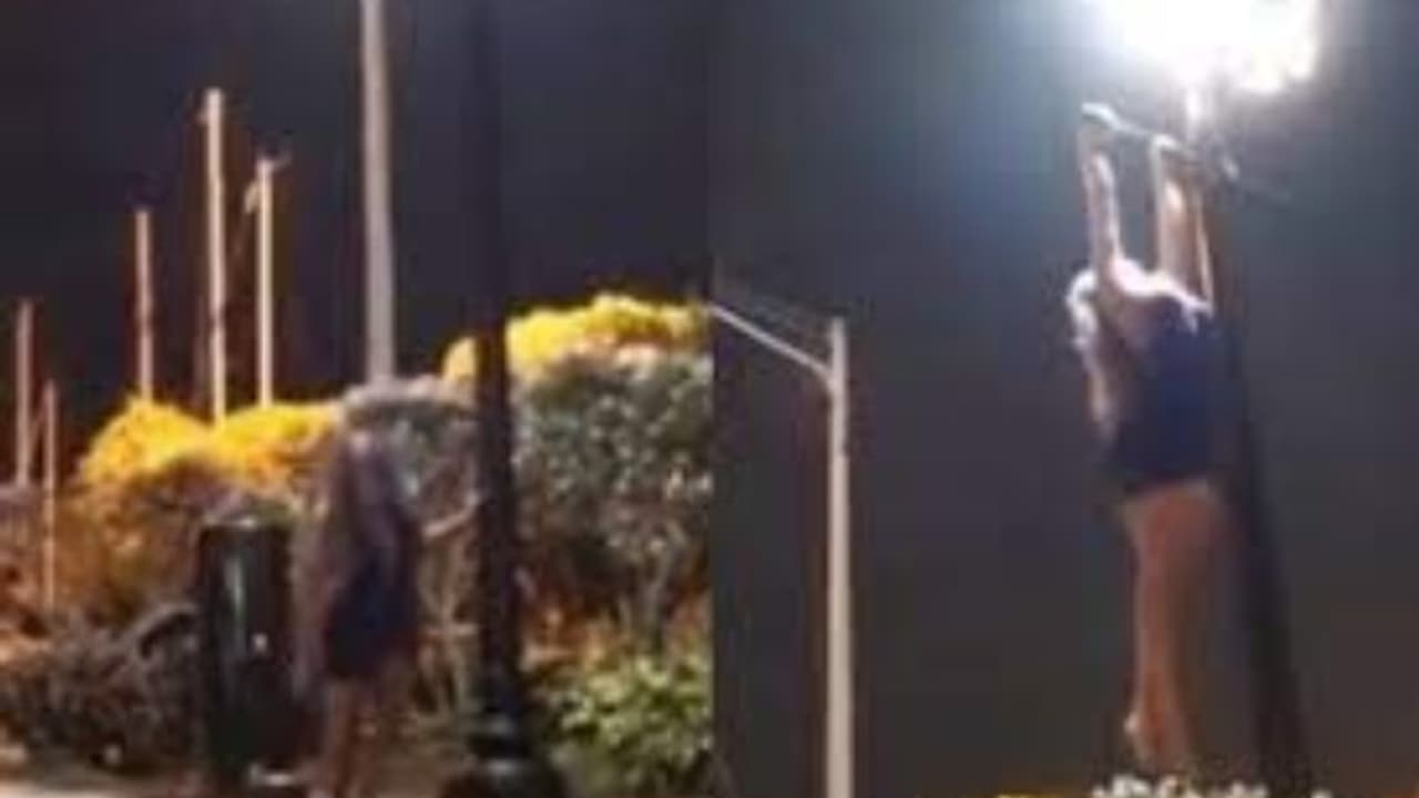 Viral Video: പോസ്റ്റില്‍ പുള്‍ അപ്പ് ചെയ്യുന്ന യുവതി; വൈറലായി വീഡിയോ 