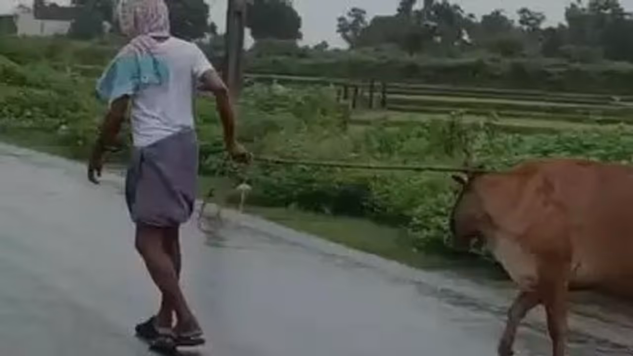 പശുവിനെ പ്രകൃതി വിരുദ്ധ പീഡനത്തിനിരയാക്കി; വിരമിച്ച സര്ക്കാര് ഉദ്യോഗസ്ഥന് അറസ്റ്റില് പശുവിനെ പ്രകൃതി വിരുദ്ധ പീഡനത്തിനിരയാക്കി; വിരമിച്ച സര്ക്കാര് ഉദ്യോഗസ്ഥന് അറസ്റ്റില്