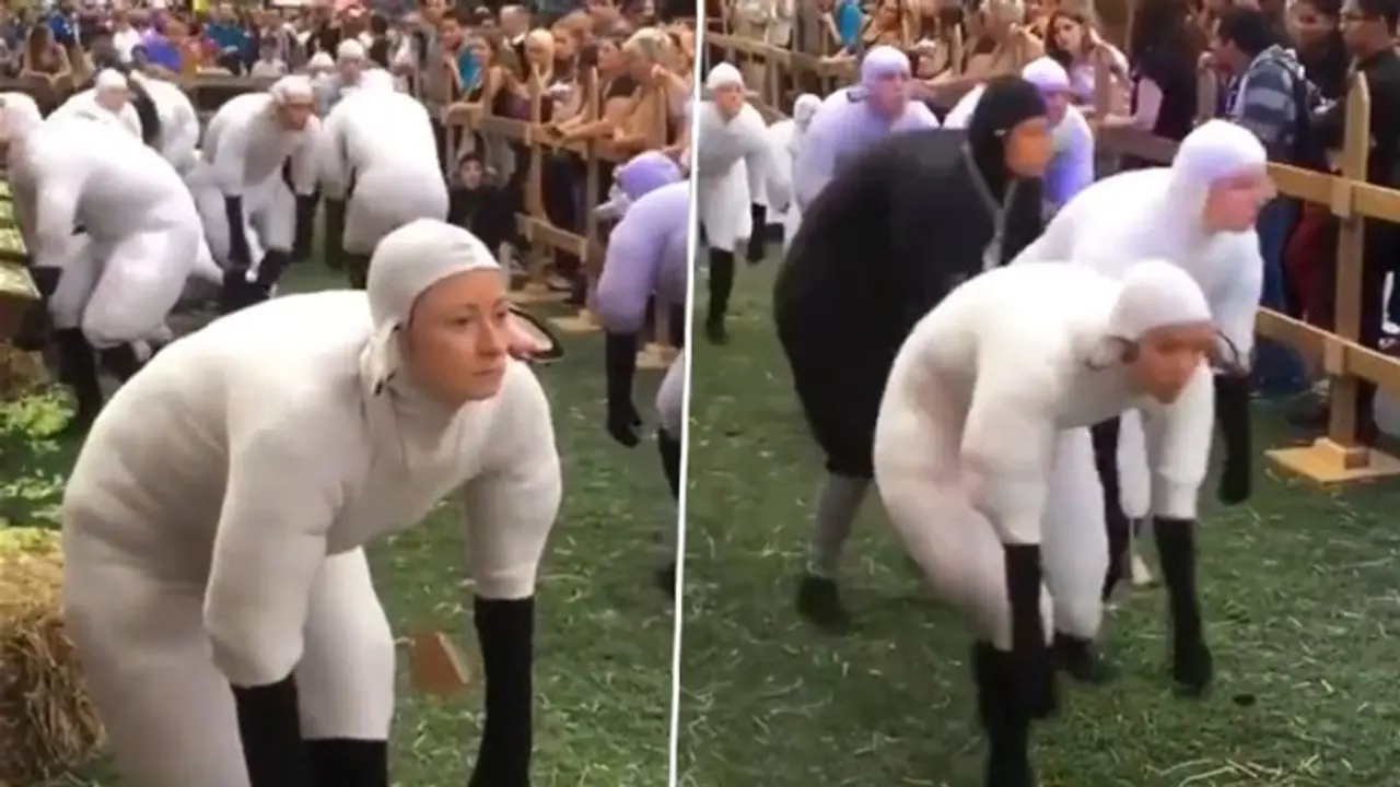 Watch: People dress as sheep for a weird contest in France Watch: People dress as sheep for a weird contest in France