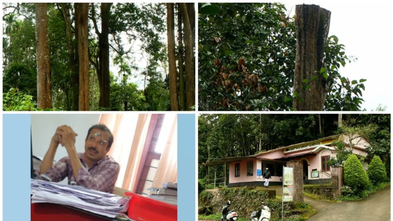 അനധികൃതമായി മുറിച്ച ഈട്ടി മരങ്ങൾ കസ്റ്റഡിയിലെടുത്ത് റവന്യൂ വകുപ്പ് ,വിജിലൻസ് അന്വേഷണം വേണമെന്നാവശ്യം അനധികൃതമായി മുറിച്ച ഈട്ടി മരങ്ങൾ കസ്റ്റഡിയിലെടുത്ത് റവന്യൂ വകുപ്പ് ,വിജിലൻസ് അന്വേഷണം വേണമെന്നാവശ്യം