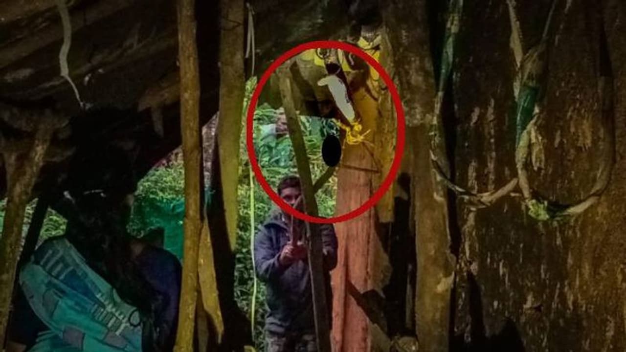 കുട്ടികൾ മാത്രമുള്ള വീടിനുള്ളിൽ രാജവെമ്പാല; ഭീതിയുടെ ഒന്നര മണിക്കൂര്‍, ഒടുവിൽ... 