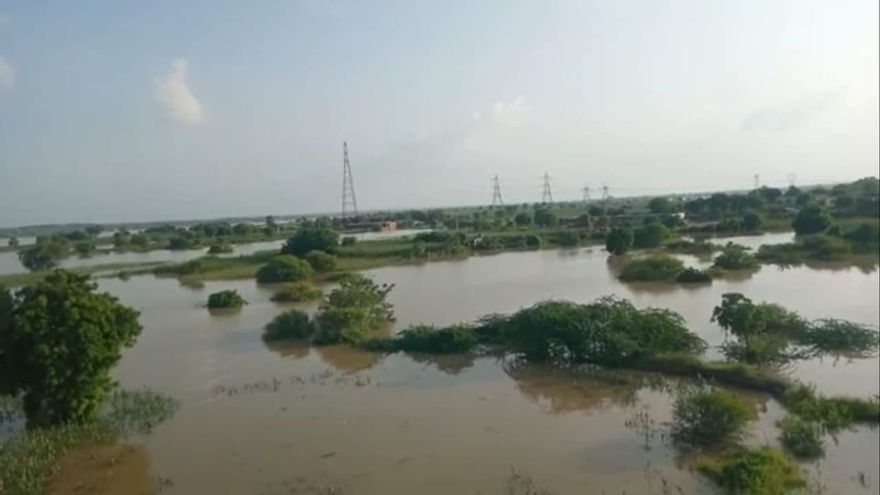 बारिश से राजस्थान में हाहाकार...नदी में बढ़ रहा पानी, नदियों से बाहर आए मगरमच्छ, डर के कारण कई गांव कराए खाली बारिश से राजस्थान में हाहाकार...नदी में बढ़ रहा पानी, नदियों से बाहर आए मगरमच्छ, डर के कारण कई गांव कराए खाली