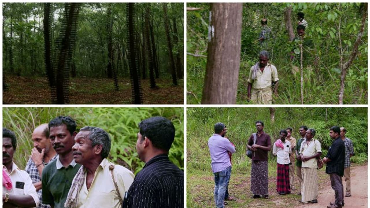 ആദിവാസികളോടും ക്രൂരത: കൂലി ഇല്ലാതെ വനംവകുപ്പിലെ ദിവസ വേതനക്കാർ,ഫണ്ട് കിട്ടിയാൽ നൽകുമെന്ന് അധികൃതർ ആദിവാസികളോടും ക്രൂരത: കൂലി ഇല്ലാതെ വനംവകുപ്പിലെ ദിവസ വേതനക്കാർ,ഫണ്ട് കിട്ടിയാൽ നൽകുമെന്ന് അധികൃതർ