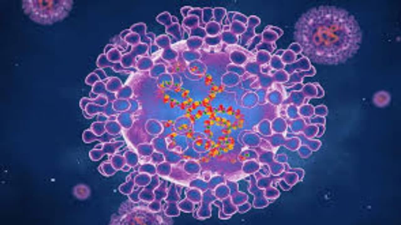 Monkeypox: ലോകത്താദ്യമായി മങ്കിപോക്സും കൊവിഡും എയ്ഡ്സും ഒരേസമയം ഒരാളിൽ സ്ഥിരീകരിച്ചു