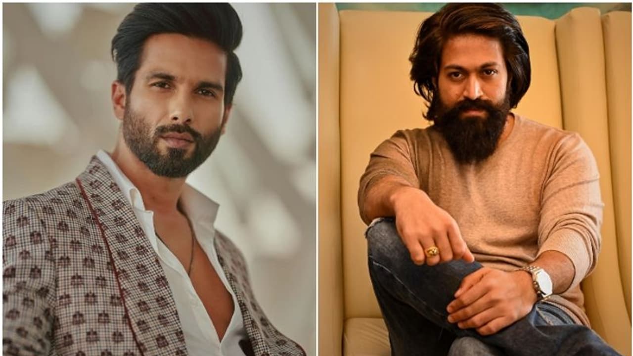 ನಂಬರ್ 1 ನಟ ಯಶ್; 'ಕೆಜಿಎಫ್' ಸ್ಟಾರ್ ಬಗ್ಗೆ ಬಾಲಿವುಡ್ ನಟ ಶಾಹಿದ್ ಕಪೂರ್ ಹೇಳಿದ್ದು ಹೀಗೆ 