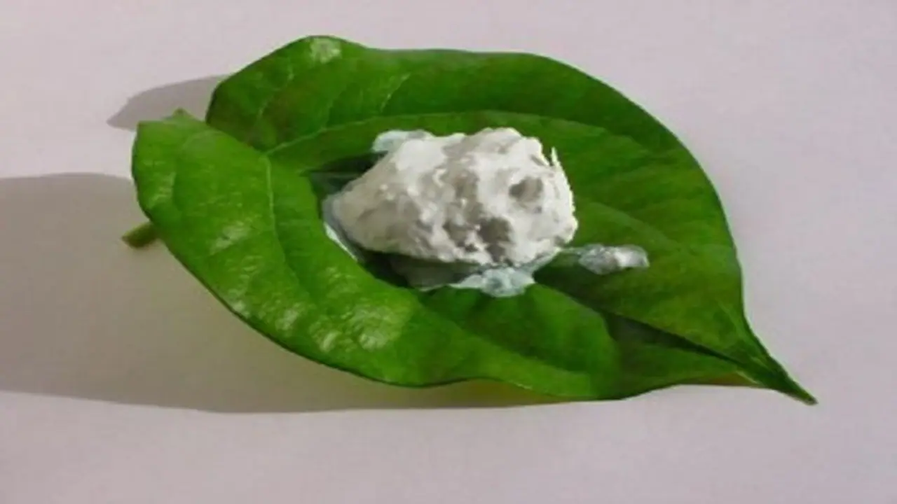 ವೀಳ್ಯದೆಲೆ ಜತೆ ತಿನ್ನುವ ಸುಣ್ಣ ಡೇಂಜರ್, ನಿಷೇಧಿಸುವಂತೆ ಒತ್ತಾಯಿಸಿದ ಡಾಕ್ಟರ್ಸ್ ವೀಳ್ಯದೆಲೆ ಜತೆ ತಿನ್ನುವ ಸುಣ್ಣ ಡೇಂಜರ್, ನಿಷೇಧಿಸುವಂತೆ ಒತ್ತಾಯಿಸಿದ ಡಾಕ್ಟರ್ಸ್