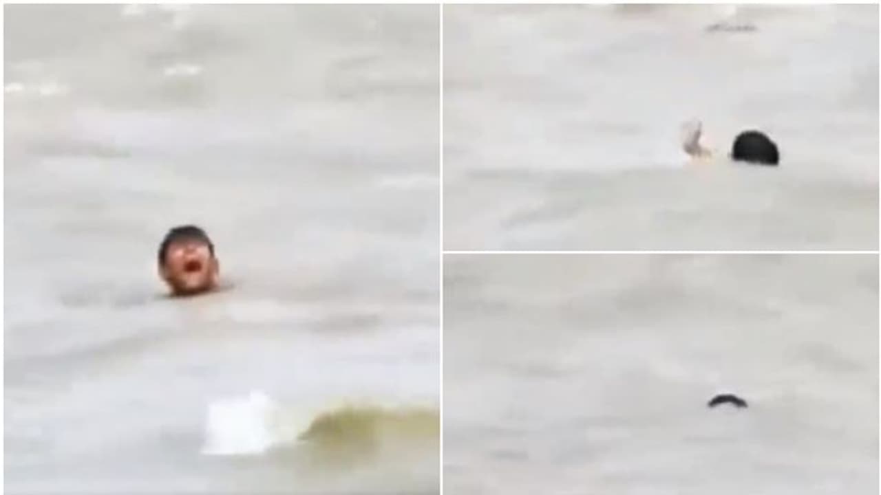 കുത്തിയൊലിച്ച പുഴയിൽ അകപ്പെട്ട് കുട്ടി, പാഞ്ഞടുത്ത് മുതലക്കൂട്ടം, അലറിക്കരഞ്ഞ് കുട്ടി; അത്ഭുത രക്ഷപ്പെടുത്തൽ!