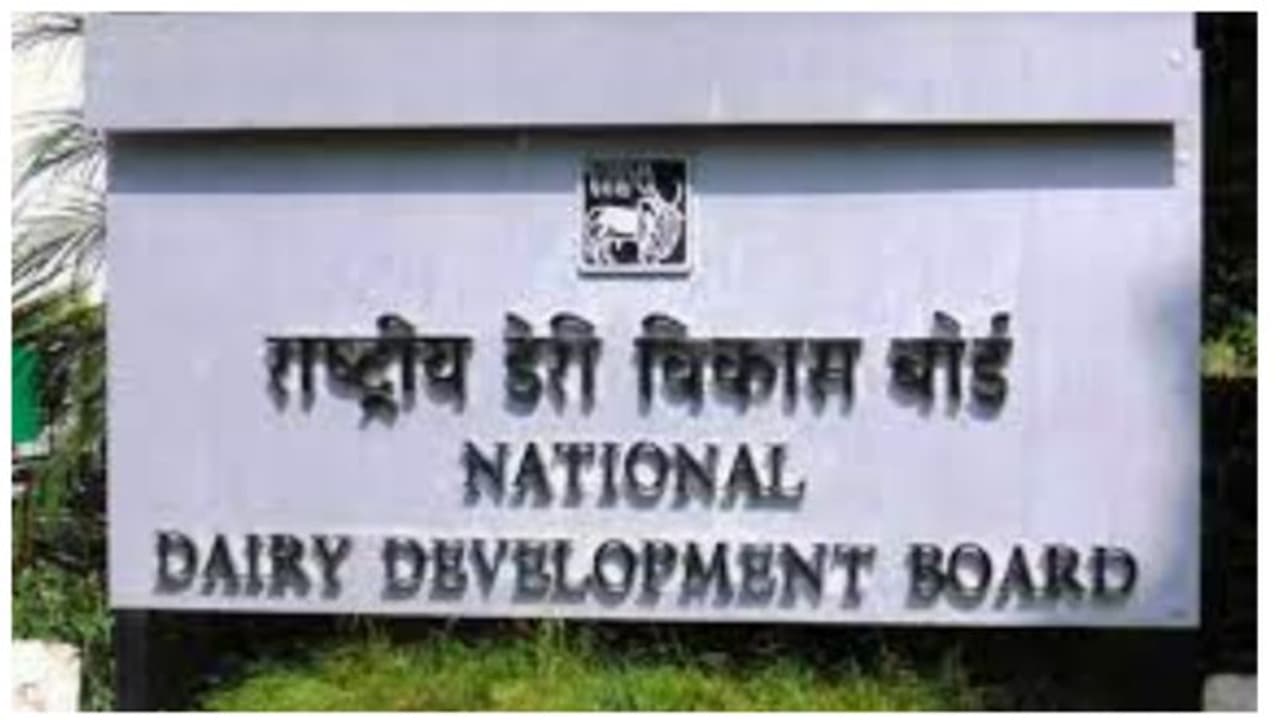 NDDB scientist job 2022 : பால்வள நிறுவனத்தில் வேலை வாய்ப்பு..கட்டணம் செலுத்த தேவையில்லை..விவரம் உள்ளே