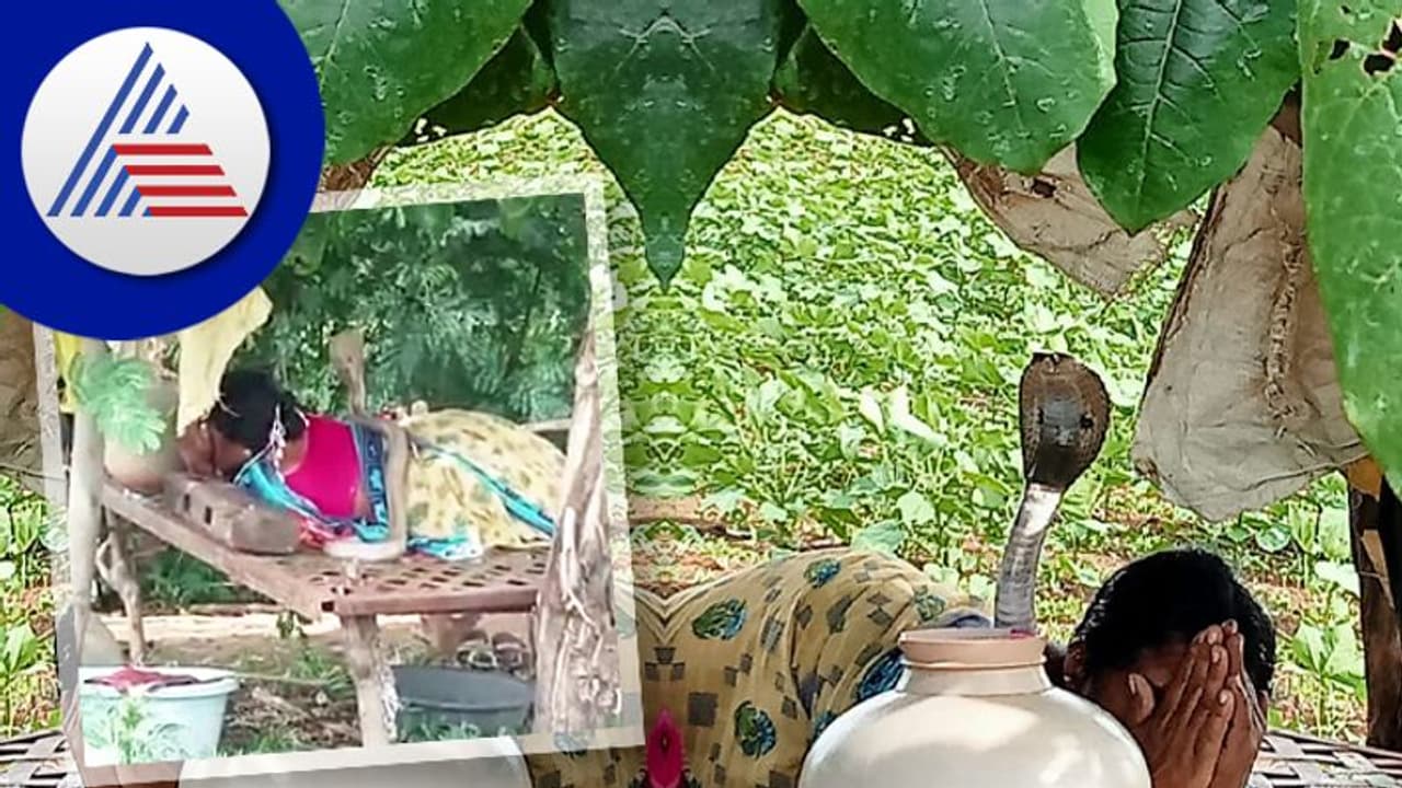 ಮಲಗಿದ್ದ ಮಹಿಳೆ ಮೇಲೆರಿ ಹೆಡೆ ಎತ್ತಿದ ನಾಗರ: ಮಲ್ಲಯ್ಯ ಮಲ್ಲಯ್ಯ ಎಂದು ಜಪಿಸಿದ ಮಹಿಳೆಗೆ ಸರ್ಪ ಮಾಡಿದ್ದೇನು?